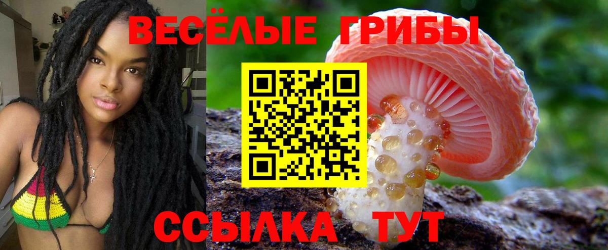 Псилоцибиновые грибы прущие грибы Салехард