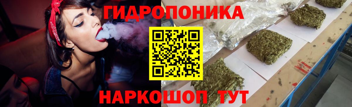 Шишки марихуана планчик Салехард